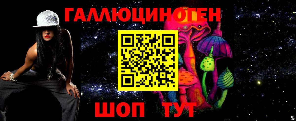 Галлюциногенные грибы Psilocybine cubensis  Вход с VPN  Донецк 
